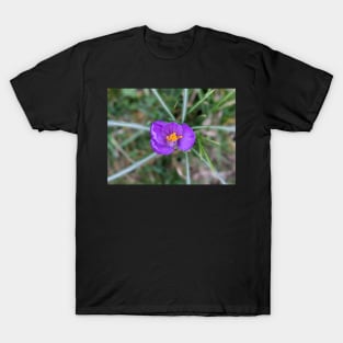 Purple and Orange Flower 1 T-Shirt